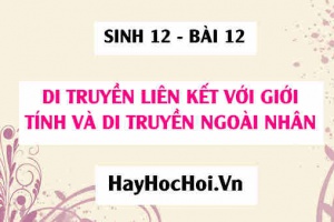Di truyền liên kết với giới tính và di truyền ngoài nhân: NST giới tính và cơ chế tế bào học xác định giới tính - Sinh 12 bài 12